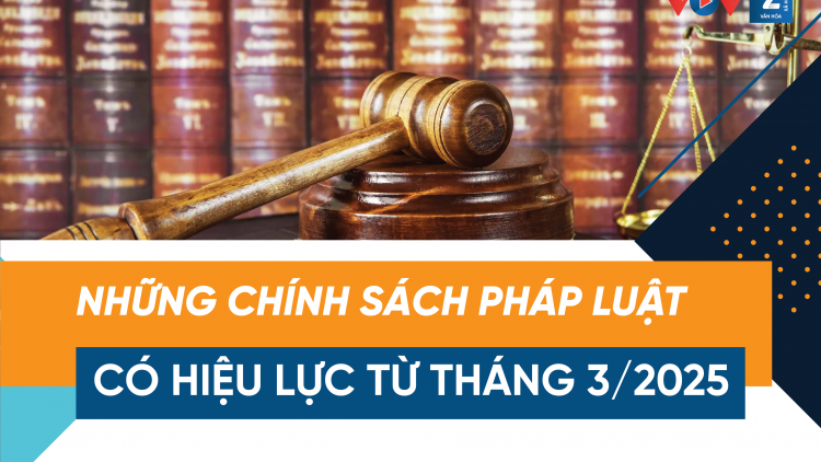 [Infographic] Những chính sách pháp luật có hiệu lực tháng 3/2025