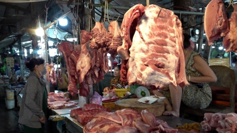 Liên tiếp phát hiện lợn bệnh, người dân có nên quá hoang mang?