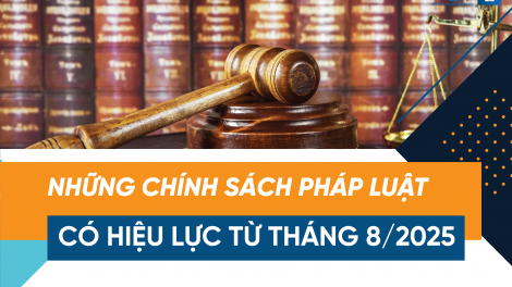 [Infographic] Chính sách pháp luật có hiệu lực tháng 8/2025