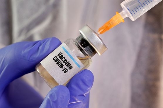 image-article