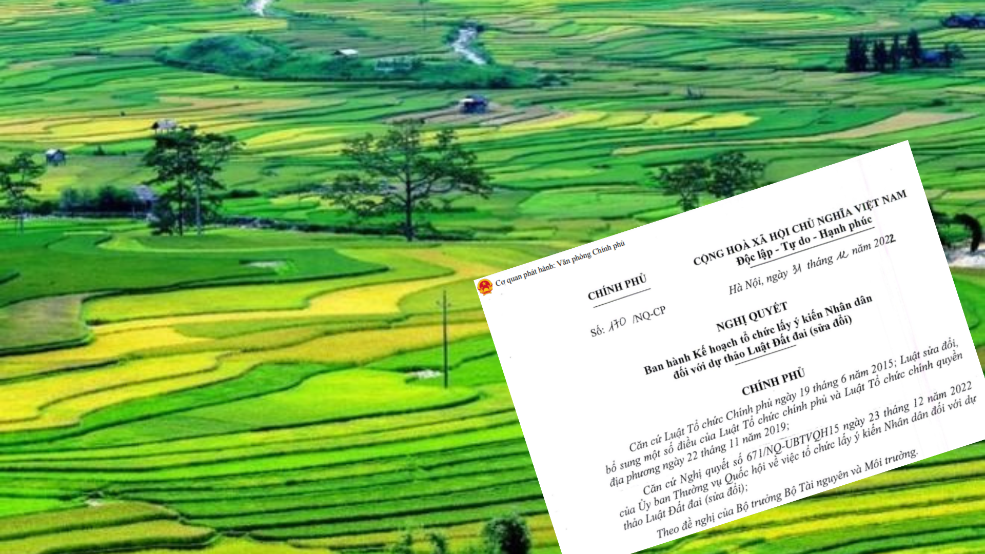 image-article