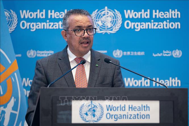 image-article