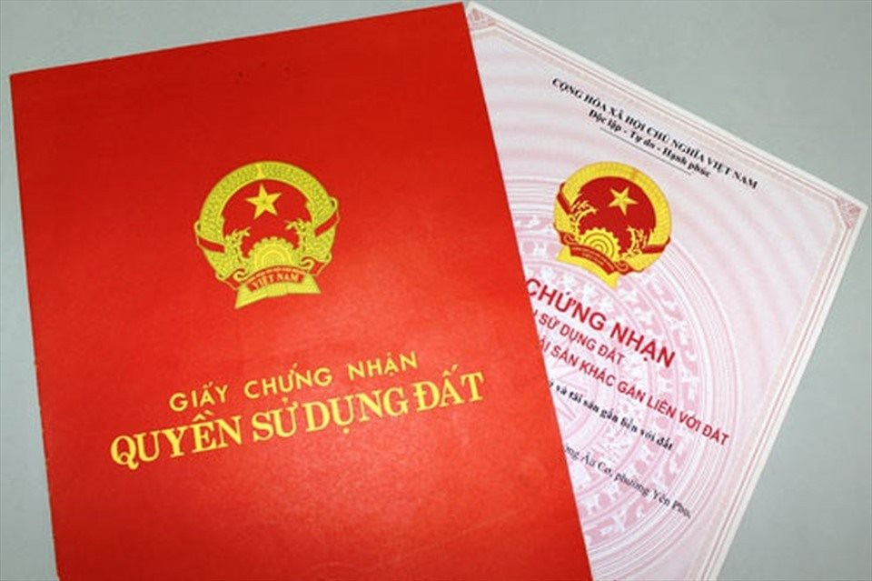 image-article