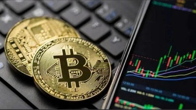 image-article