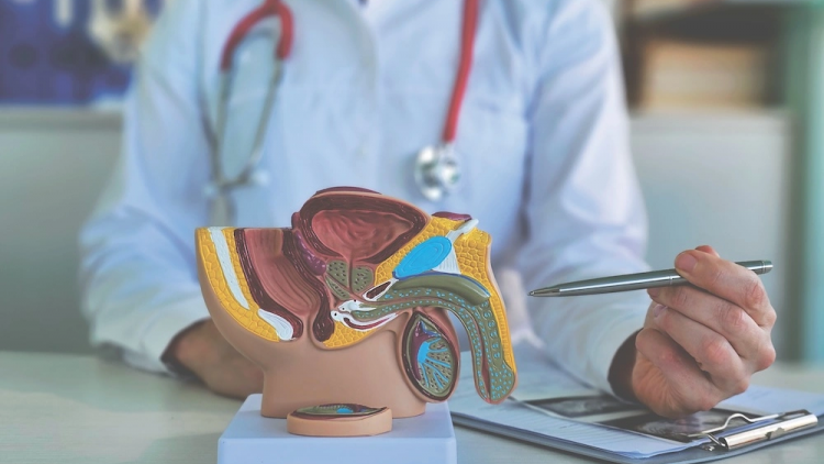 Bảo tồn khả năng sinh sản và tình dục cho nam giới mắc ung thư