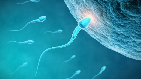 Các biện pháp hỗ trợ sinh sản cho nam giới bị yếu tinh trùng