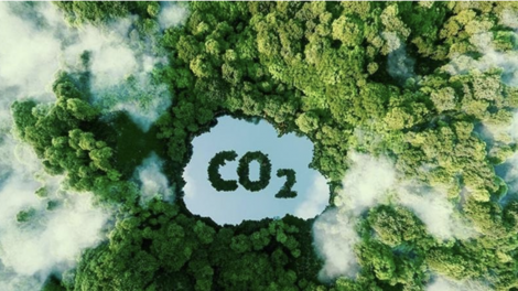 Tín chỉ carbon: Hiệu quả khi có sự tham gia của doanh nghiệp