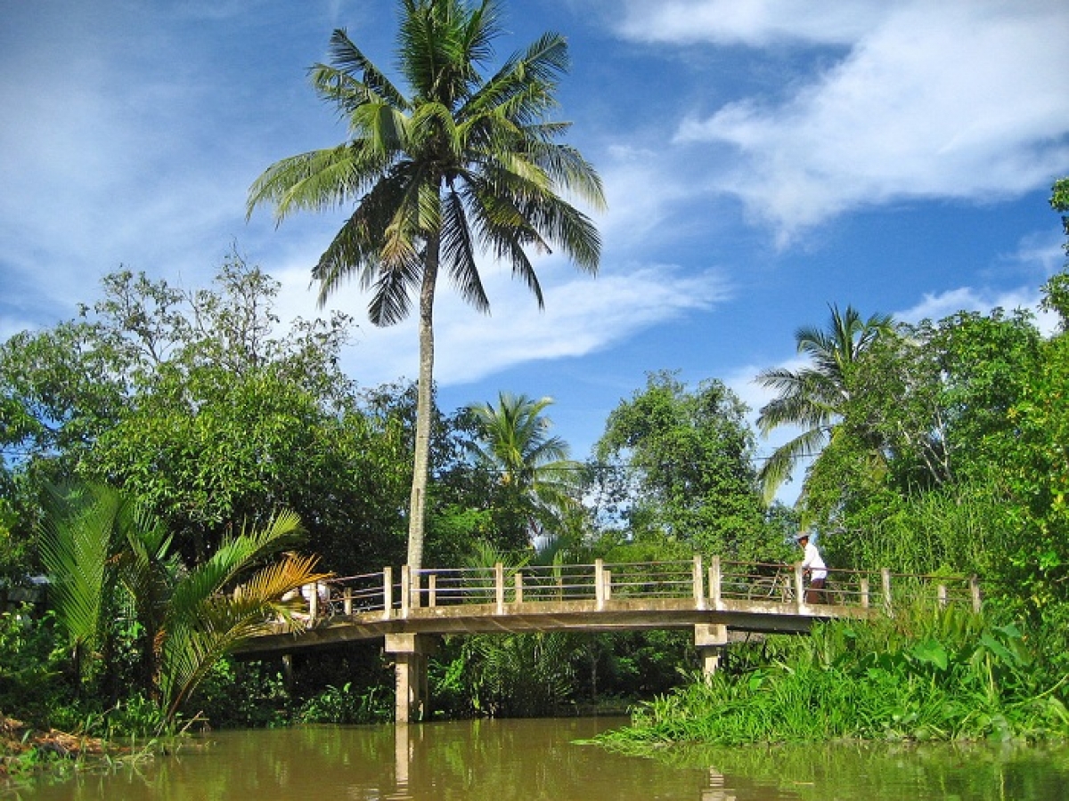 Cồn Quy, Bến Tre