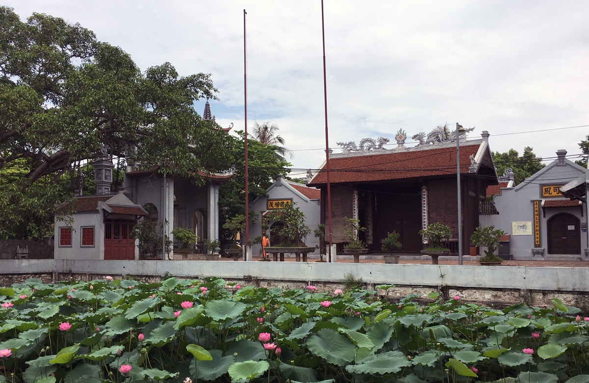 Ao đình tỏa hương sen thơm ngào ngạt tạo không gian thoáng đạt cho ngôi đình