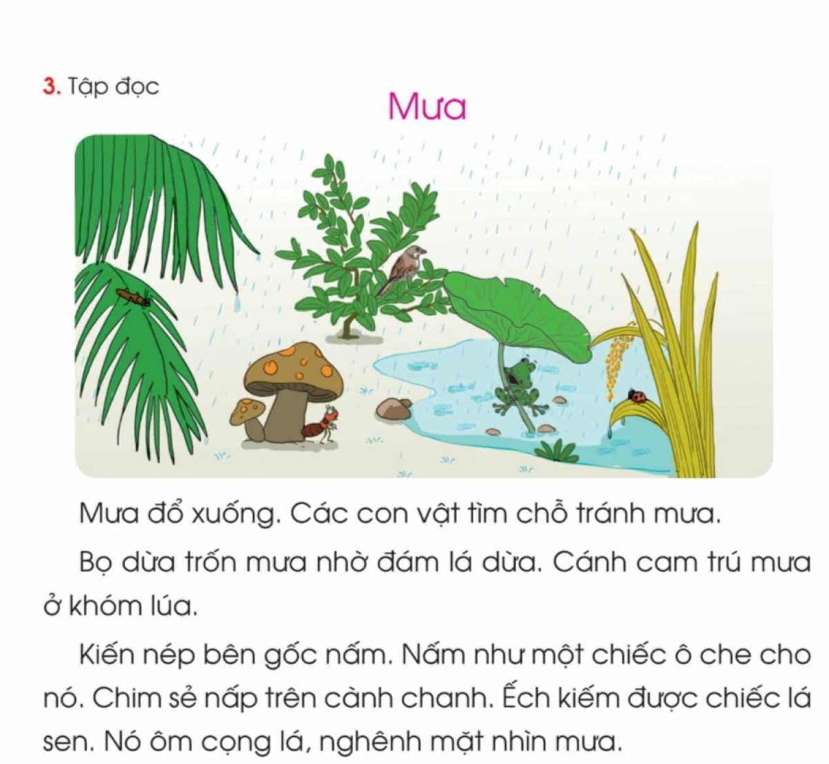Bài: "Ước mơ của tảng đá" phần 1 được bổ sung thành bài: "Mưa"