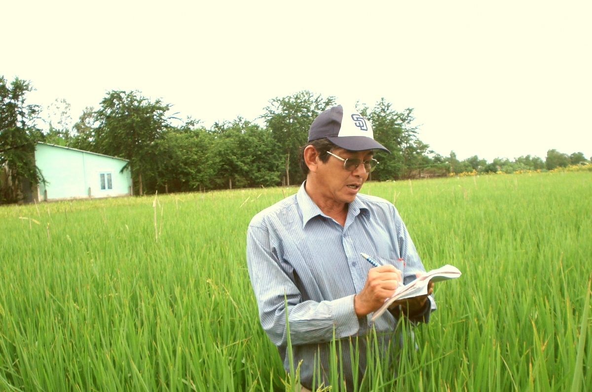 "Cha đẻ" của giống gạo ngon nhất, nhì thế giới ST25 - ông Hồ Quang Cua