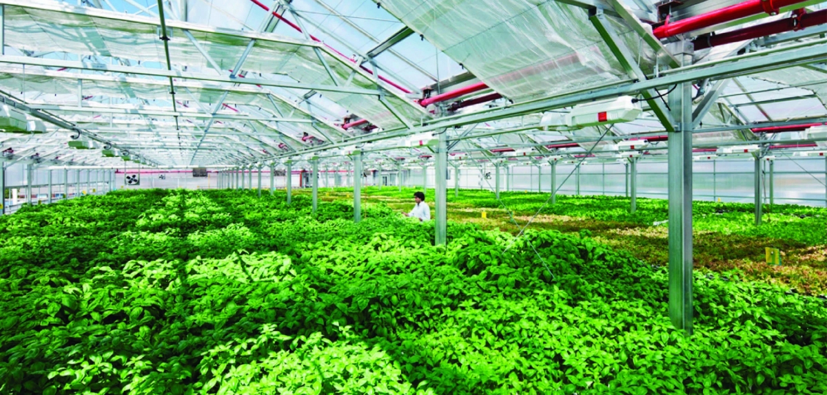 Văn kiện Đại hội Đảng lần thứ XIII đề ra mục tiêu: Đến năm 2045 nước ta trở thành nước phát triển thu nhập cao