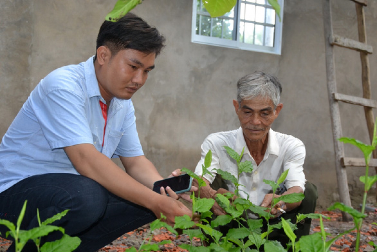 Ông Ba Thành trồng nhiều loại thuốc trị rắn cắn trong vườn