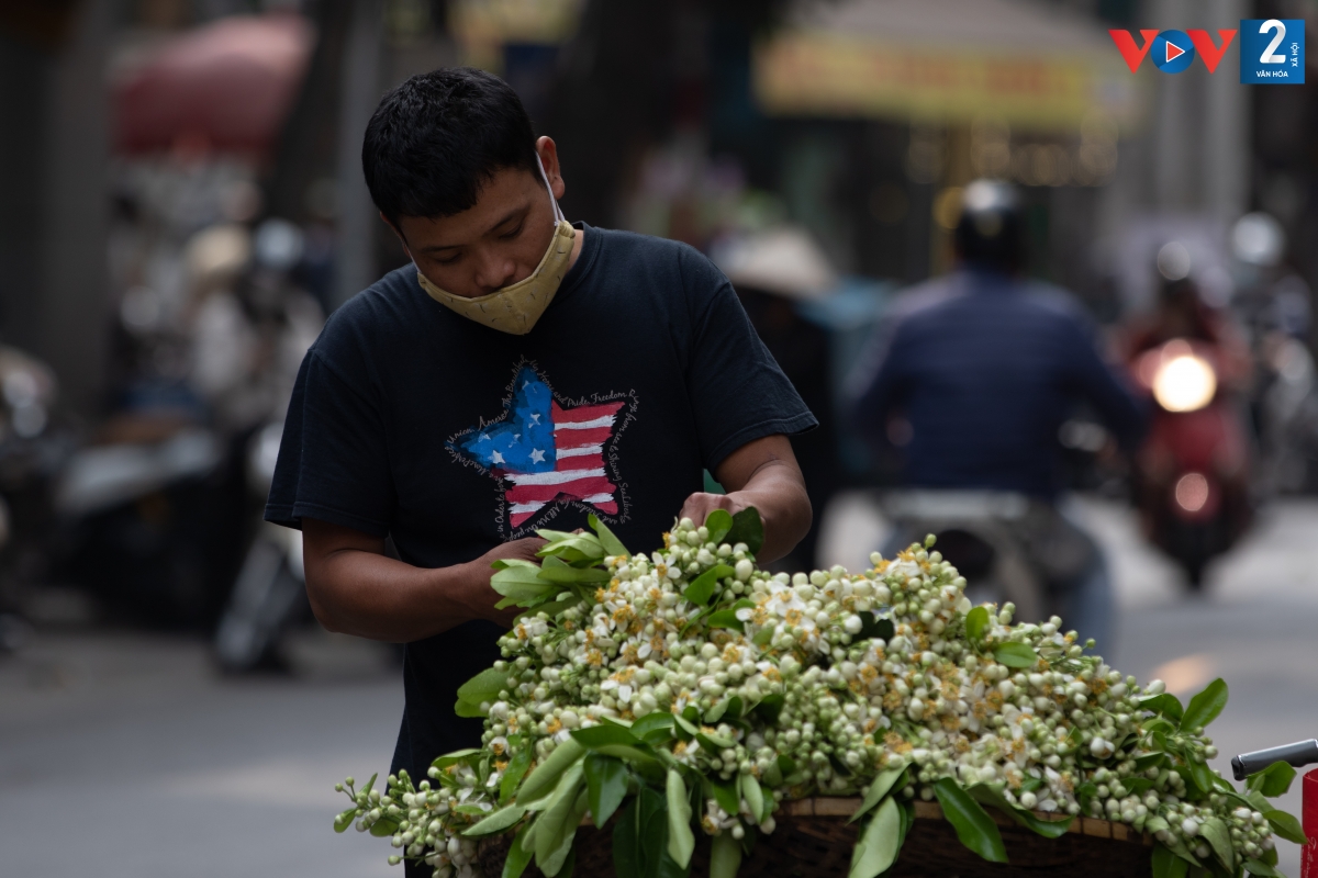 Không chỉ khoe sắc khoe hương, người ta còn dùng hoa bưởi tạo hương thơm cho những món ăn như nước đường tào phớ, bánh trôi, bánh chay, mía hấp hoa bưởi... khiến những món ăn càng thêm đặc biệt và khó quên.