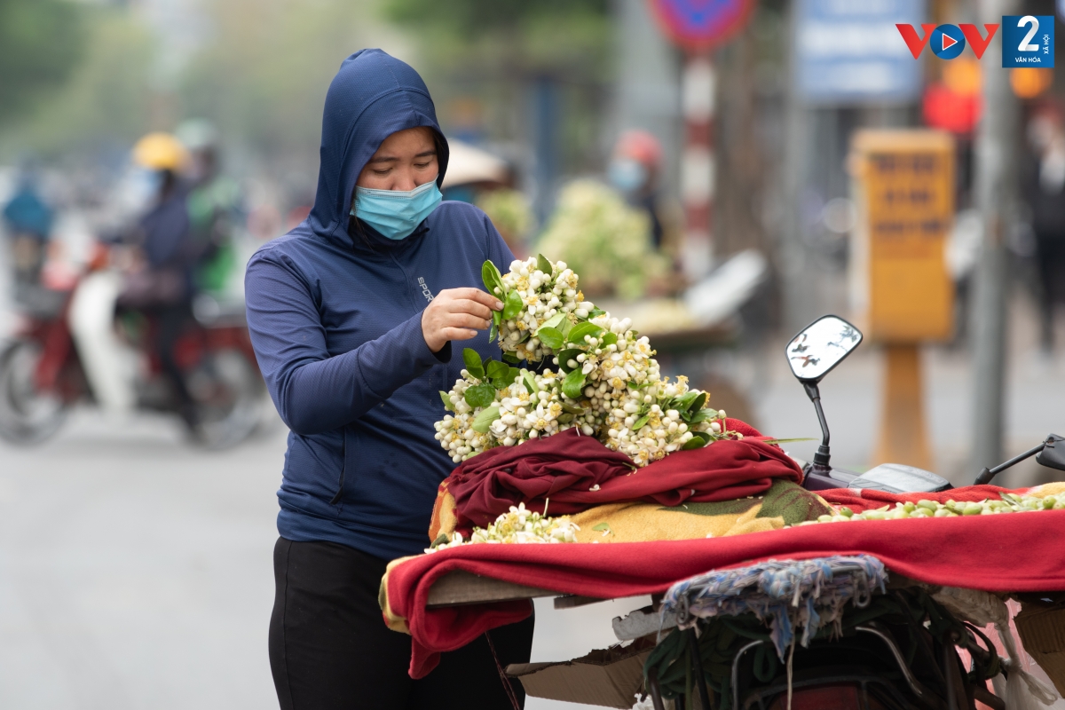 Hoa bưởi được bó gọn, bán với giá từ 20-25 nghìn đồng/lạng. 