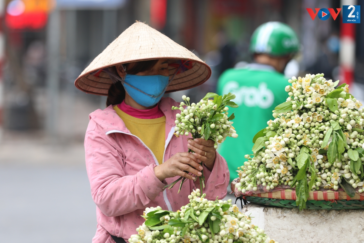 Loài hoa trắng bình dị khiêm nhường với hương thơm đặc trưng được coi là đặc sản của Hà Nội.