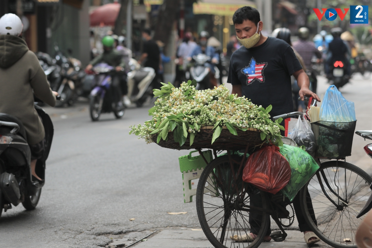 Theo những người bán hàng, hiện đang đầu mùa, lại mới ra Tết, hoa bán còn chậm.