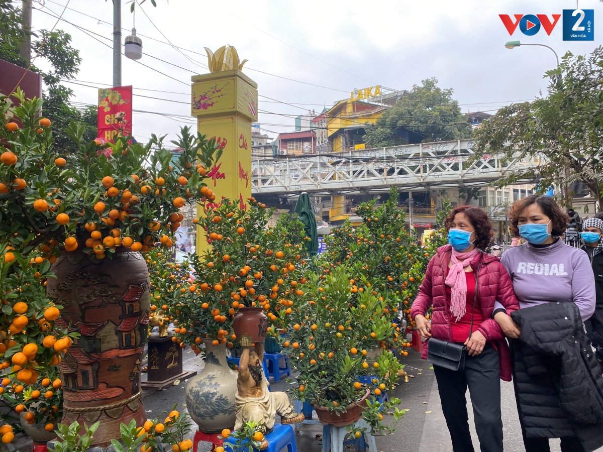Càng gần Tết, không khí ở chợ hoa Hàng Lược càng trở nên đông vui, tấp nập, tạo nên nét đẹp riêng có của Tết Hà Thành. Tuy nhiên, diễn biến phức tạp của dịch Covid-19 những ngày cận Tết này khiến cho không khí mua sắm có chút trầm lắng.