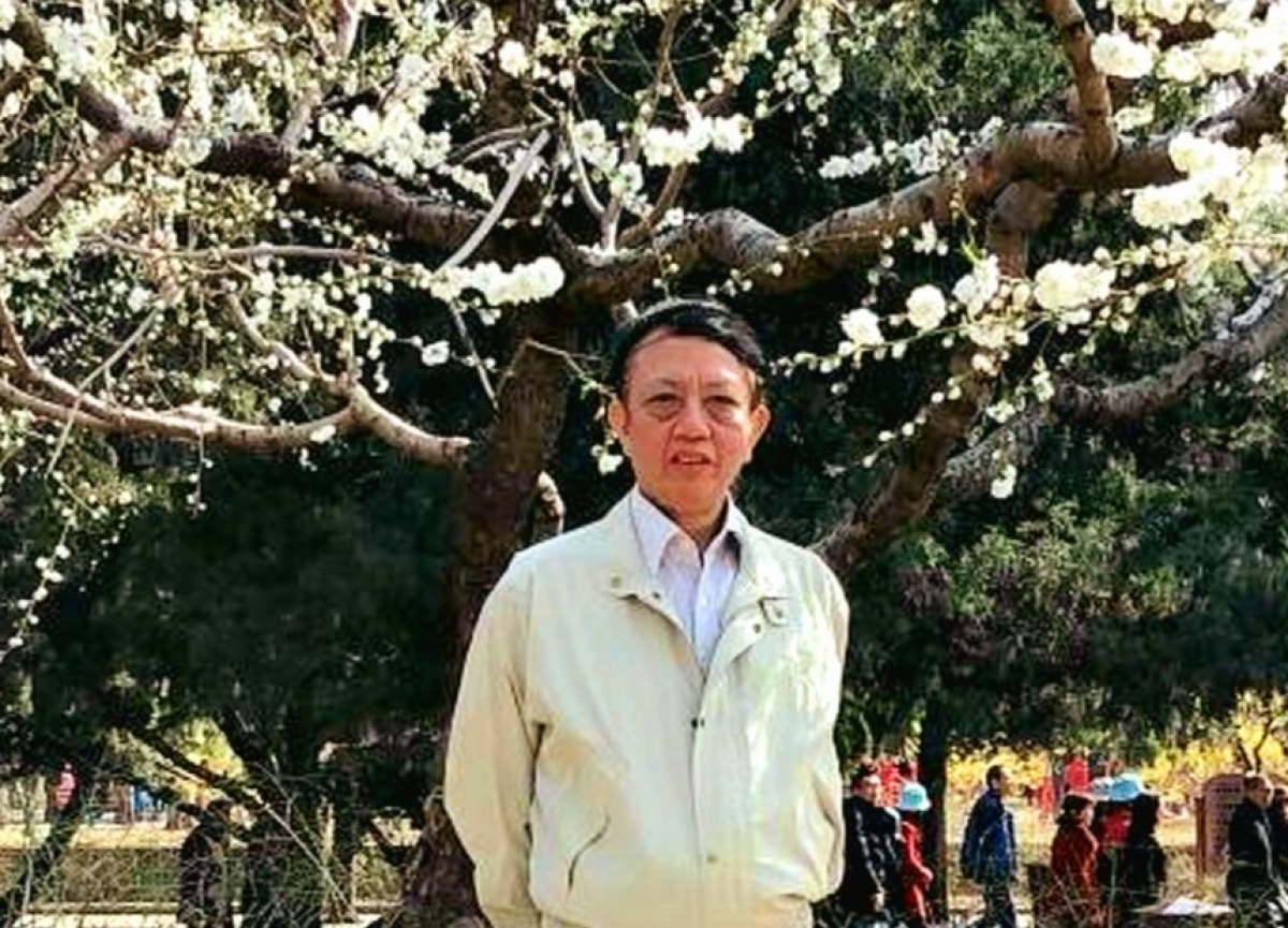 Tiến sĩ sử học Nguyễn Hữu Tâm cho rằng: Cuộc đời cụ bà Lê Thị Dinh đóng hai vai với nhà Nguyễn, vừa là con cháu hoàng tôn, vừa là cung nữ.