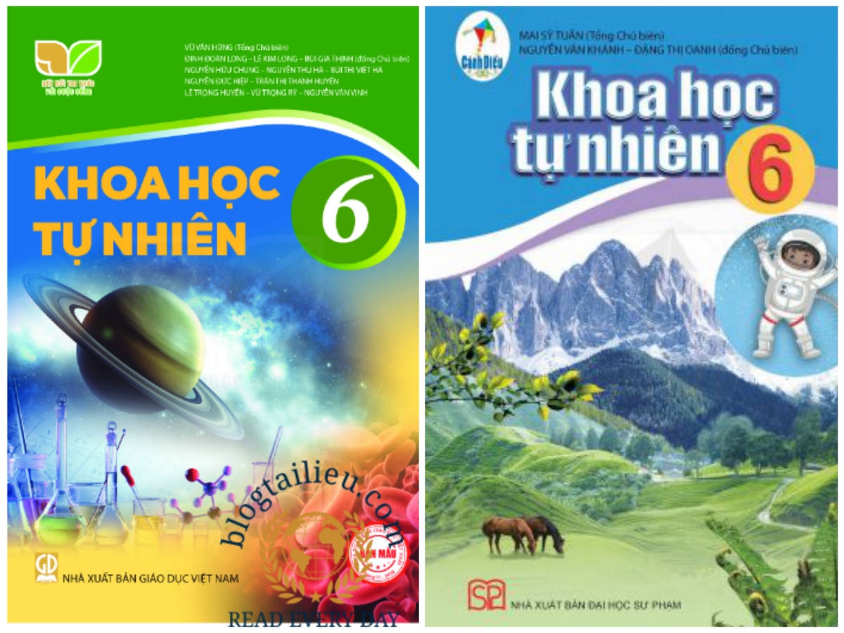 Ở bậc THCS sẽ không có môn học Vật lý, Hóa học, Sinh học. Thay vào đó là môn Khoa học tự nhiên.