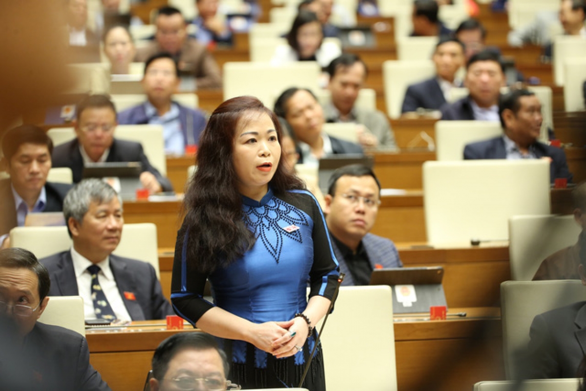 Đại biểu Vũ Thị Lưu Mai (Đoàn Hà Nội)
