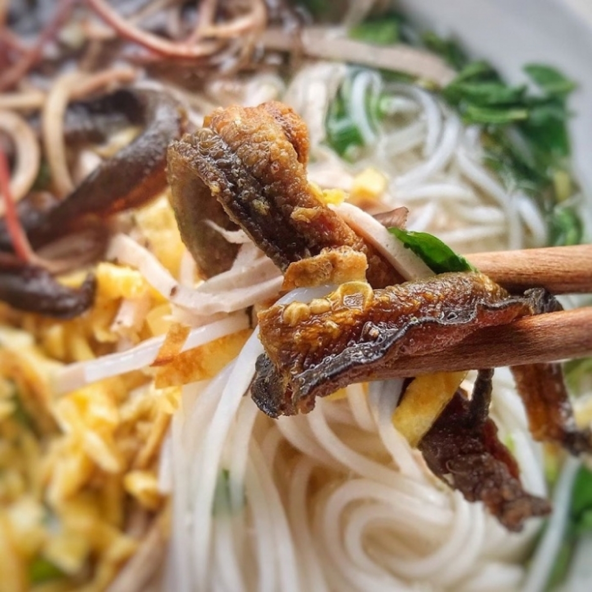 Bún thang lươn là sự kết hợp hài hòa của màu sắc nguyên liệu với sự tinh túy của món ăn