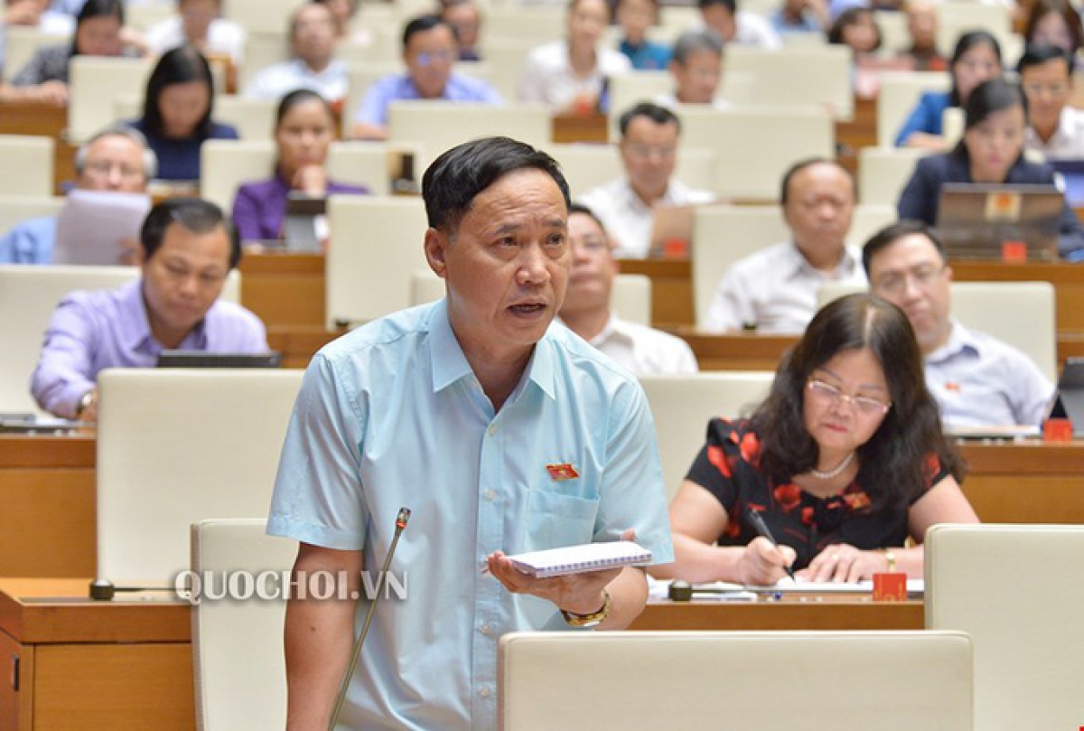 Đại biểu Nguyễn Mai Bộ (Đoàn An Giang)