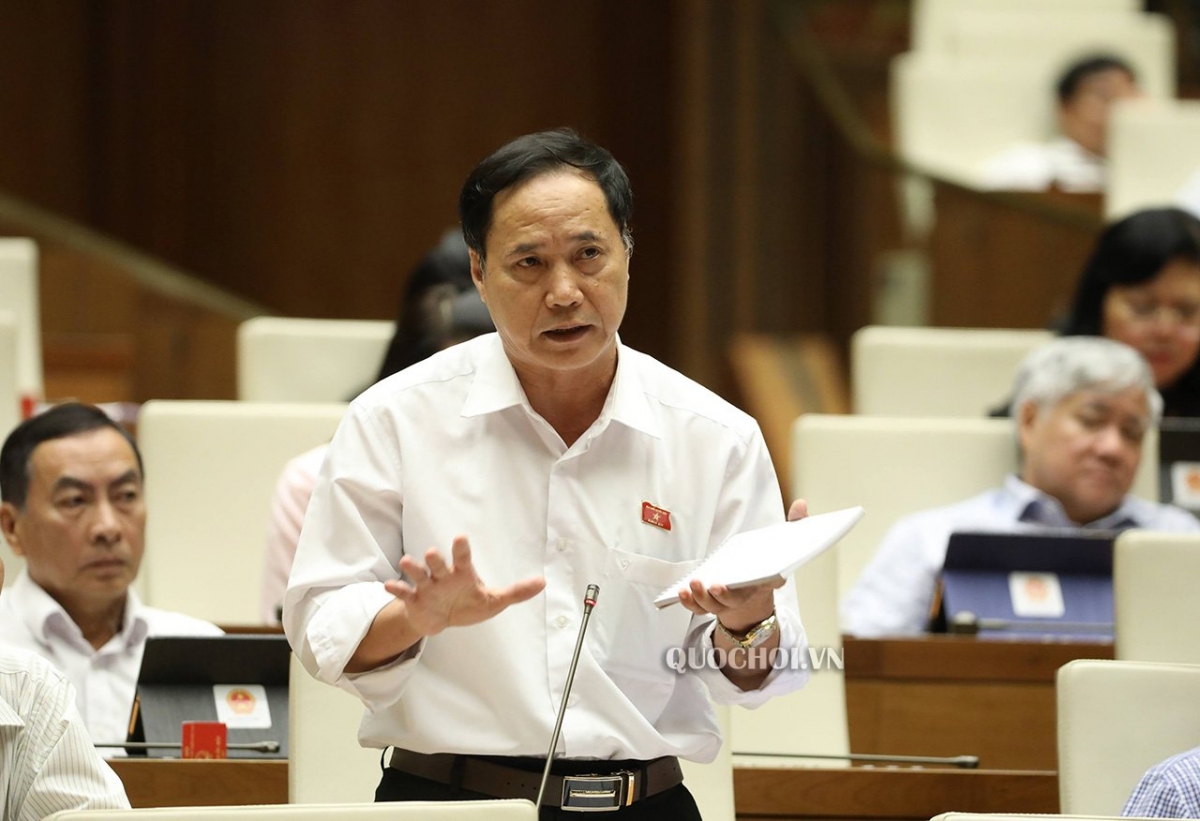 Đại biểu Nguyễn Mai Bộ (đoàn An Giang)