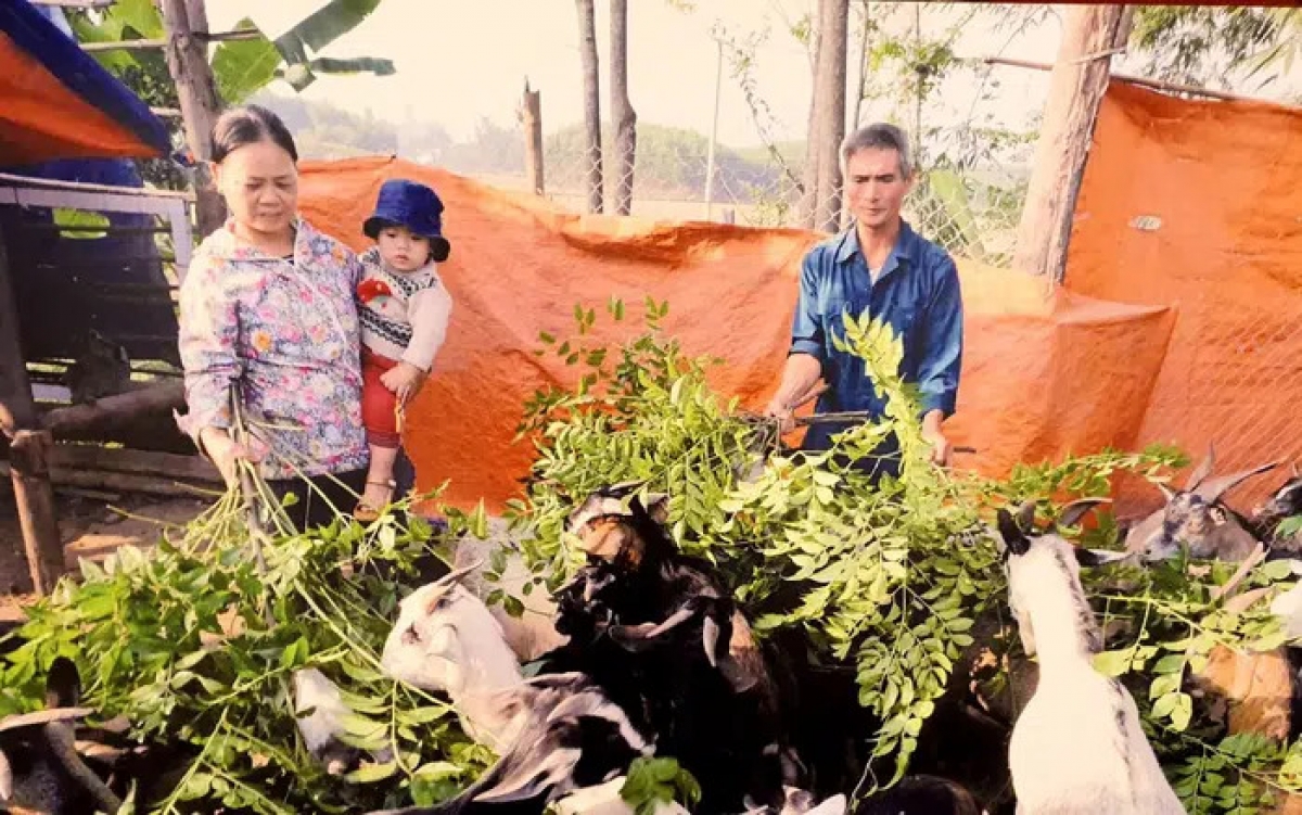 Khởi nghiệp cho người cao tuổi được coi là một trong những giải pháp nhằm bảo đảm an sinh xã hội