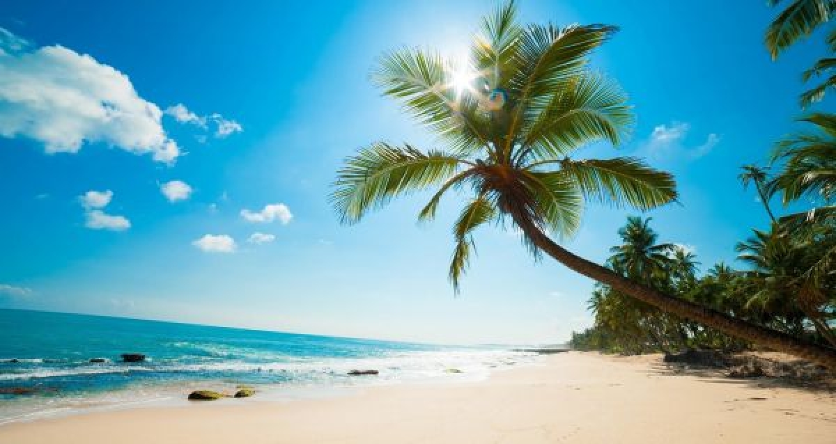 Bãi biển Phú Quốc thơ mộng với nước biển xanh trong và bãi cát trải dài