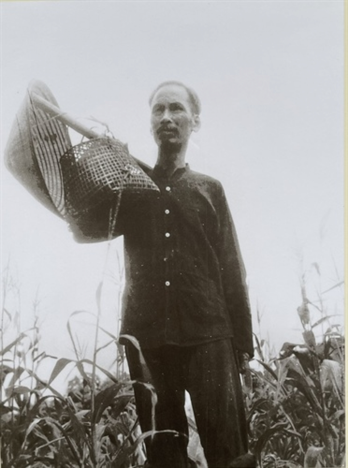 Hình ảnh sinh hoạt đời thường của Chủ tịch Hồ Chí Minh trên Chiến khu Việt Bắc trong thời kỳ kháng chiến chống Pháp