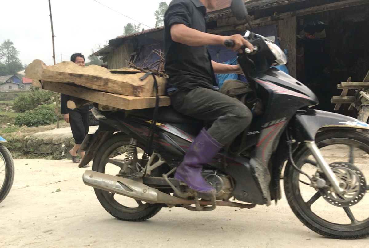 Những chiếc xe ở cửa rừng chầu trực gào rú vận chuyển gỗ quý đi bán một cách công khai
(Ảnh: Nhóm phóng viên)