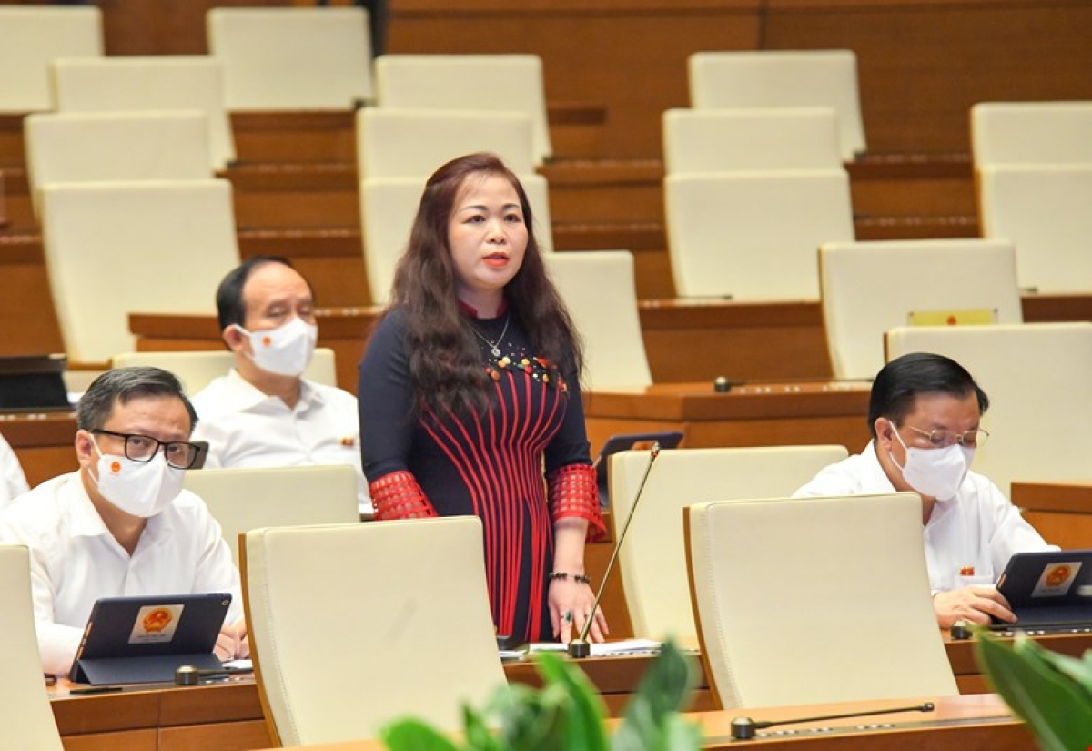 Đại biểu Vũ Thị Lưu Mai - Đoàn ĐBQH thành phố Hà Nội.
