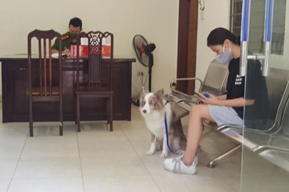 Cô gái dắt chó đi dạo bị phạt 2 triệu đồng