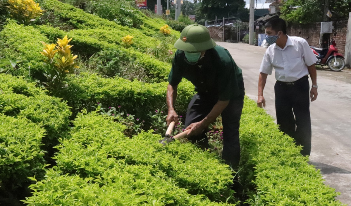 Cựu chiến binh Nguyễn Phú Thắng chăm sóc vườn hoa tại triền đê sông Đáy dọc thôn 6, xã Liên Hiệp (huyện Phúc Thọ)