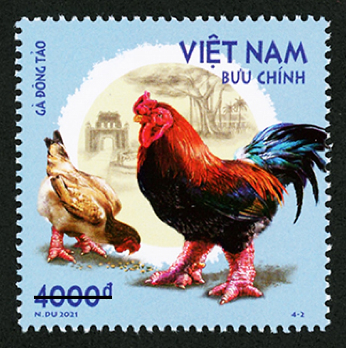 Mẫu 4-2: Gà Đông Tảo (còn gọi là gà Đông Cảo), đặc điểm là cặp chân xấu xí, to và thô, khi gà trưởng thành, con trống có thể nặng trên 4,5kg và con mái trên 3,5kg. Đây là loài gà nuôi cổ truyền của người dân xã Đông Tảo, huyện Khoái Châu, tỉnh Hưng Yên; là giống gà đặc hữu và quý hiếm, trước đây thường dùng để cúng tế, hội hè hay tiến vua. Gà Đông Tảo thuộc danh sách các giống gia cầm quý hiếm của Việt Nam đang được bảo tồn nguồn gen.