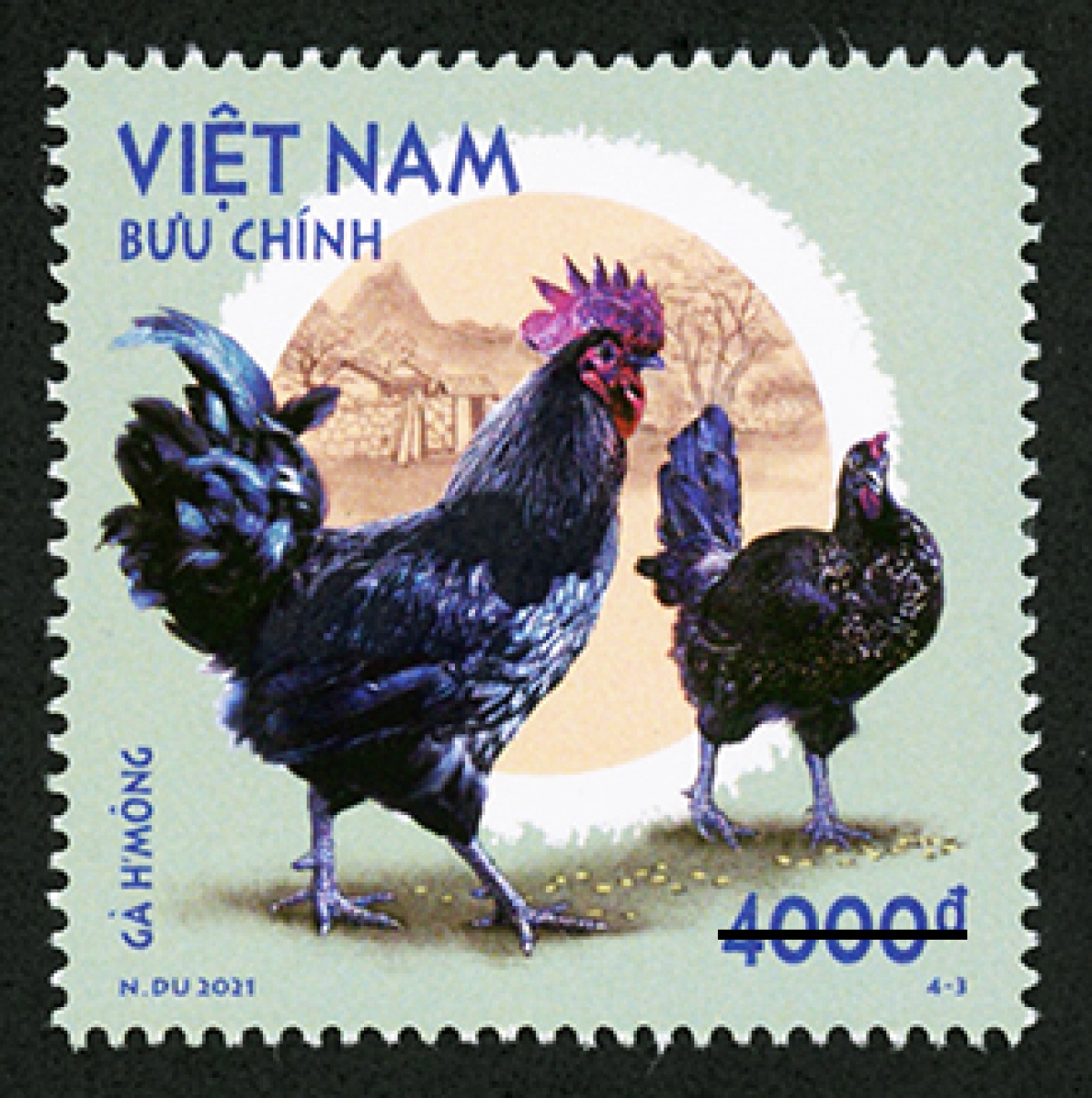 Mẫu 4-3: Gà H'Mông (còn gọi là gà Mông, gà Mông đen hay gà Mèo, gà xương đen), là giống gà quý hiếm, thuần chủng (bản địa) của Việt Nam, có nguồn gốc ở miền núi phía Bắc, được dân tộc H'Mông nuôi thả quảng canh. Gà H'Mông có đặc điểm là thịt đen, xương đen, hàm lượng mỡ trong thịt ít, thịt chắc và thơm ngon vào bậc nhất trong các giống gà ở Việt Nam hiện nay. 