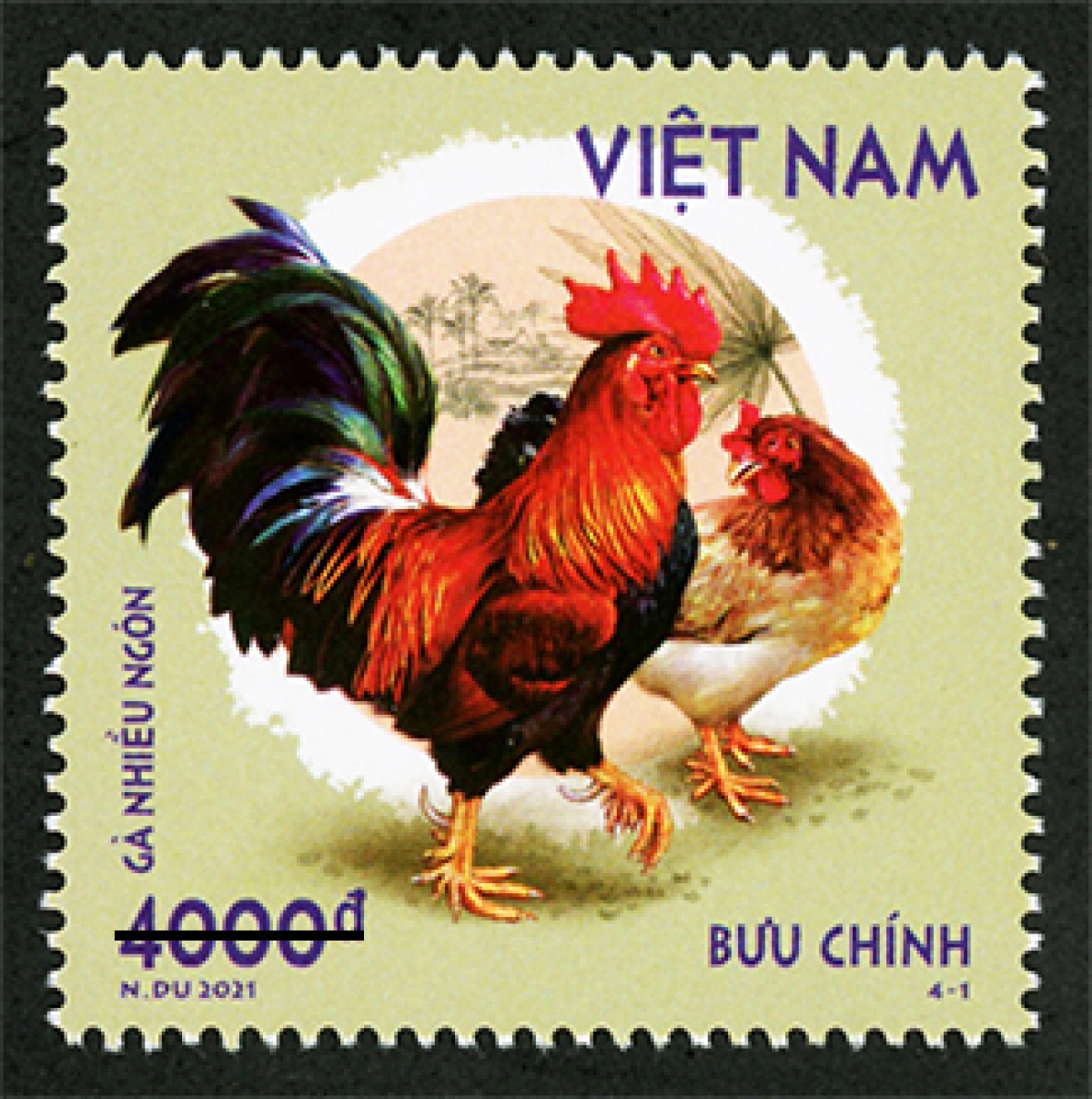 Mẫu 4-1: Gà nhiều ngón - là giống gà thuần chủng (bản địa), quý hiếm có từ lâu đời, gắn liền với sinh kế và văn hóa của dân tộc thiểu số tại tỉnh Phú Thọ (miền Bắc Việt Nam). Đặc trưng đặc biệt của giống gà này là có nhiều ngón, thường từ 6 đến 8 ngón, một số ít có 5 hoặc 9 ngón. Gà 9 ngón rất hiếm và được xem như một báu vật...