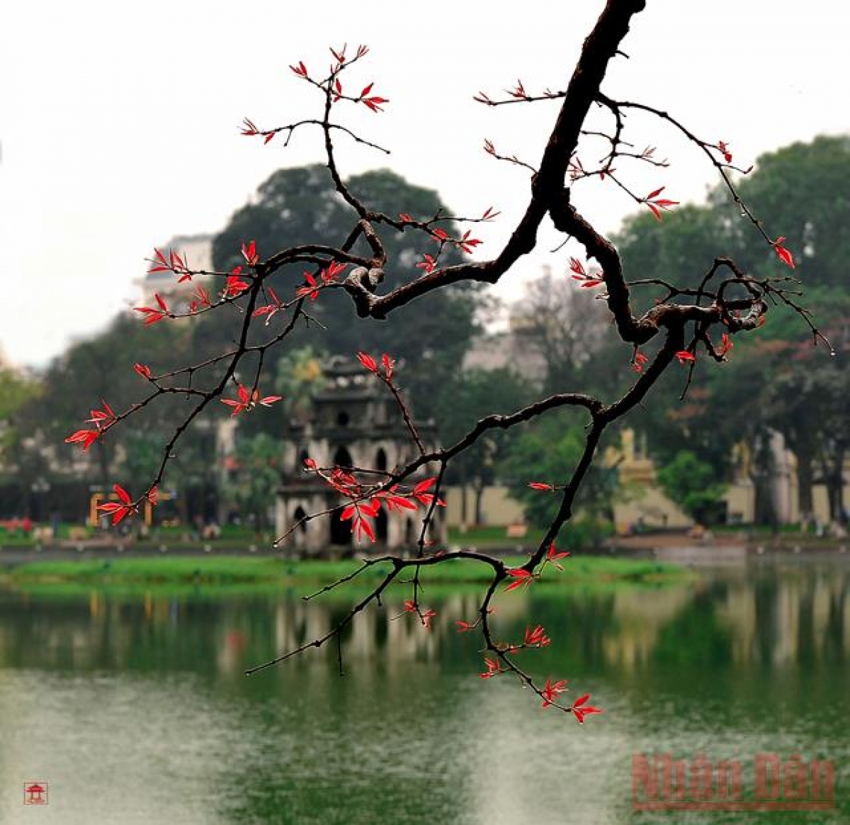 Hồ Gươm – dấu tích của một khúc sông Nhị Hà xưa, là thắng cảnh nổi tiếng của Thủ đô