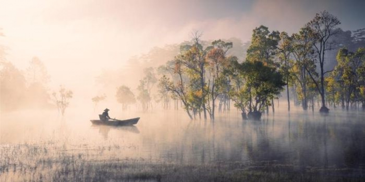 Bức ảnh “Bản tình ca mùa thu” của nhiếp ảnh gia Cao Kỳ Nhân đoạt Giải Vàng ảnh phong cảnh quốc tế. Ảnh chụp năm 2019, điểm nhấn là người lái đò chèo chậm rãi trên một góc rừng chò ngập nước ở Suối Tía, Đà Lạt. Nơi đây có cảnh đẹp thơ mộng vào các mùa khác nhau và càng trở nên huyền ảo hơn vào những ngày thu sương giăng mặt hồ. (Ảnh: Tác giả cung cấp)