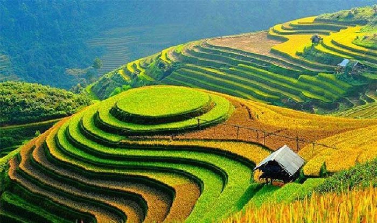 Vị trí thứ 4 thuộc về Việt Nam. Những thửa ruộng bậc thang ở Sa Pa (Lào Cai) mới là điều khiến nhiều du khách nước ngoài phải trầm trồ vì sự ngoạn mục. Bên cạnh đó, những vẻ đẹp của Việt Nam gây ấn tượng với du khách còn phải kể đến: Thánh địa Mỹ Sơn, những bãi biển miền Trung xinh đẹp và vùng đồng bằng sông Cửu Long ở miền Nam đất nước...