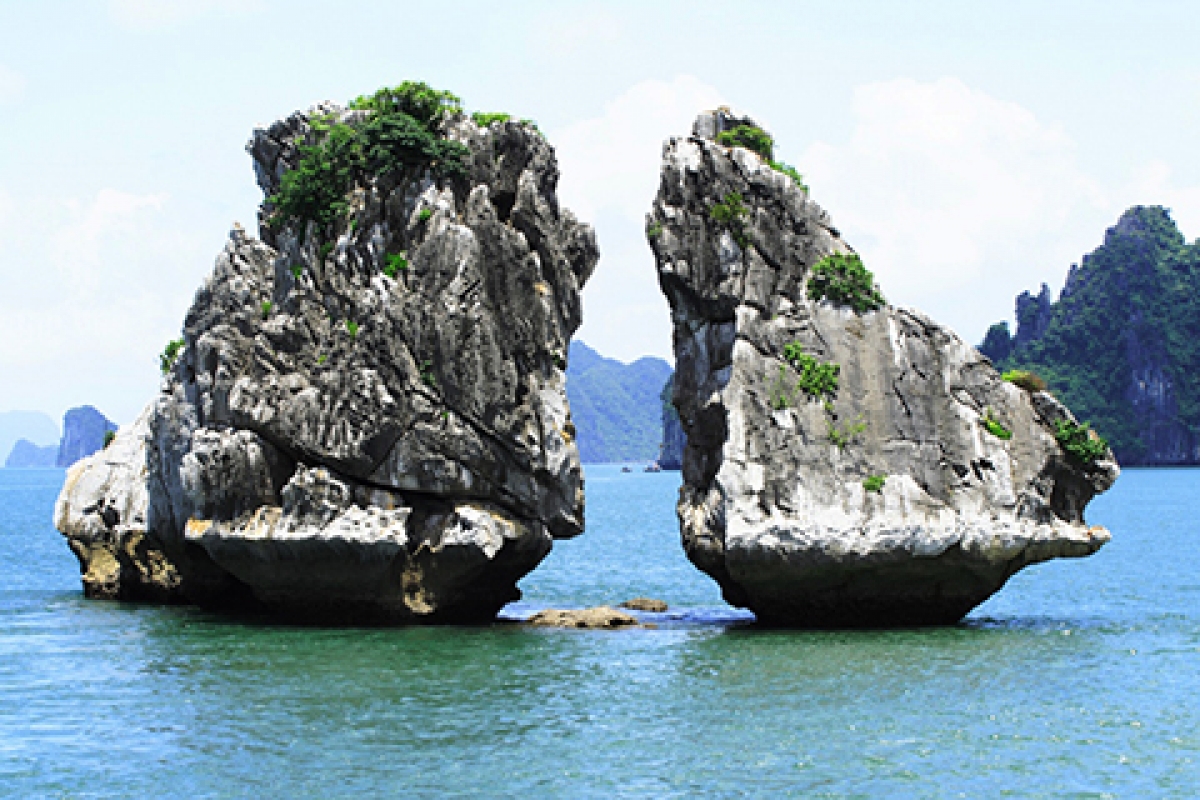 Hòn Gà chọi, vịnh Hạ Long