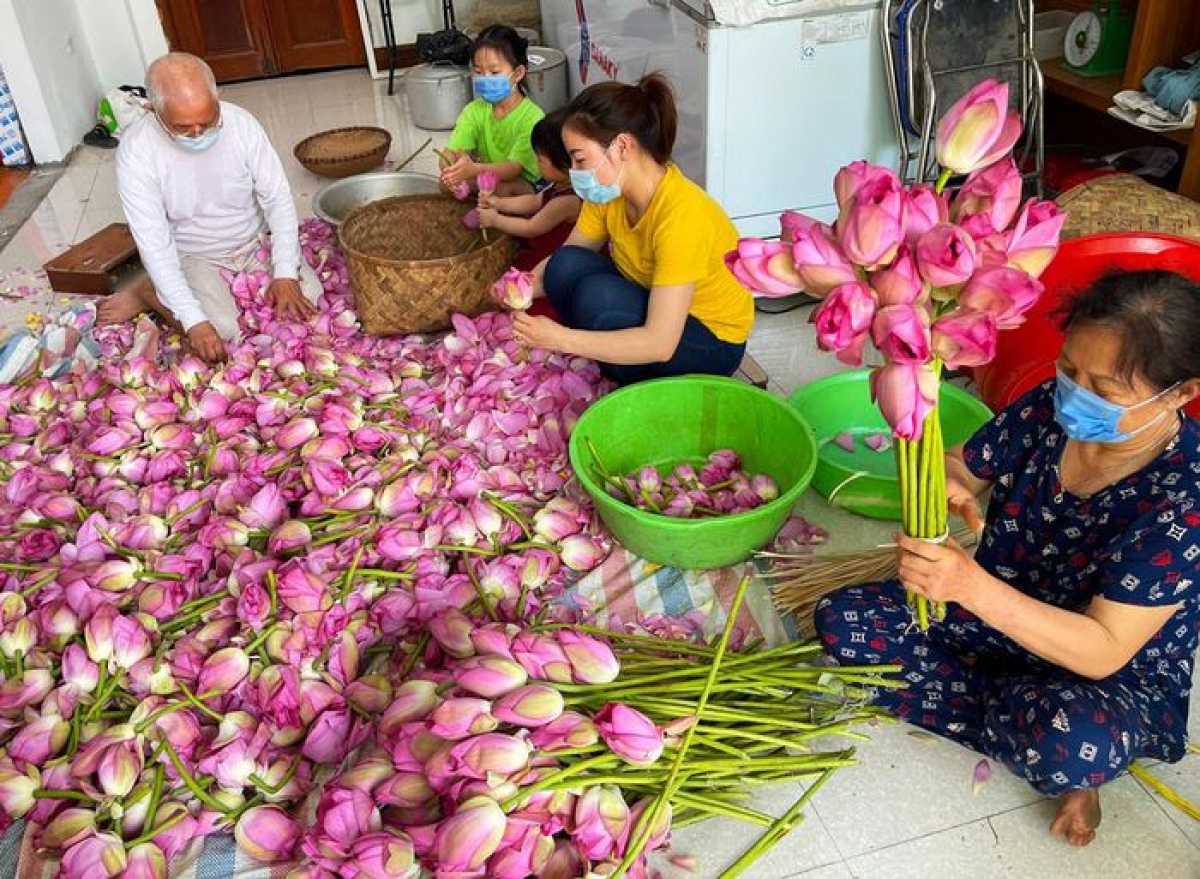 Ông Xiêm và gia đình đang chuẩn bị ướp trà