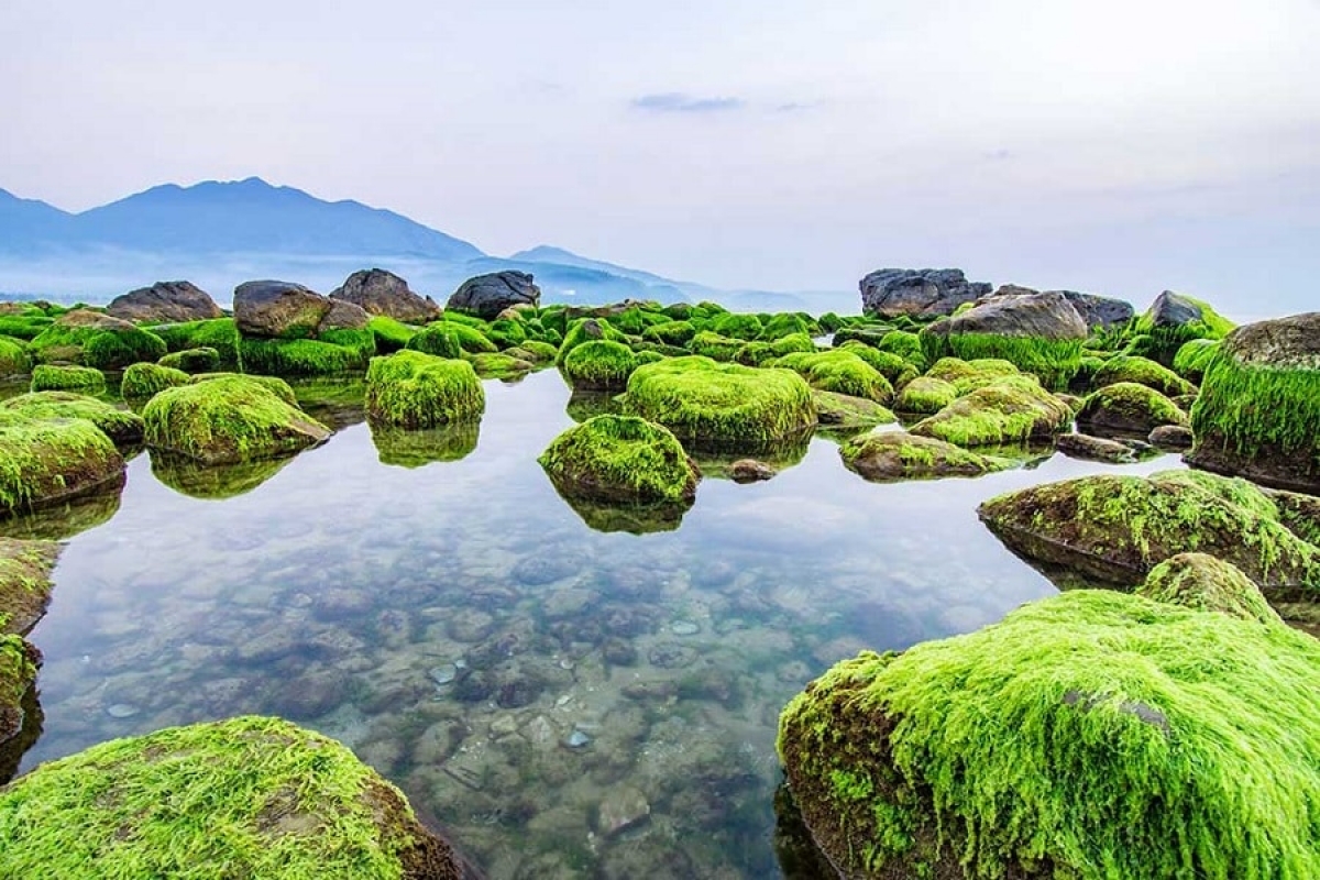 Rạn Nam Ô, Đà Nẵng