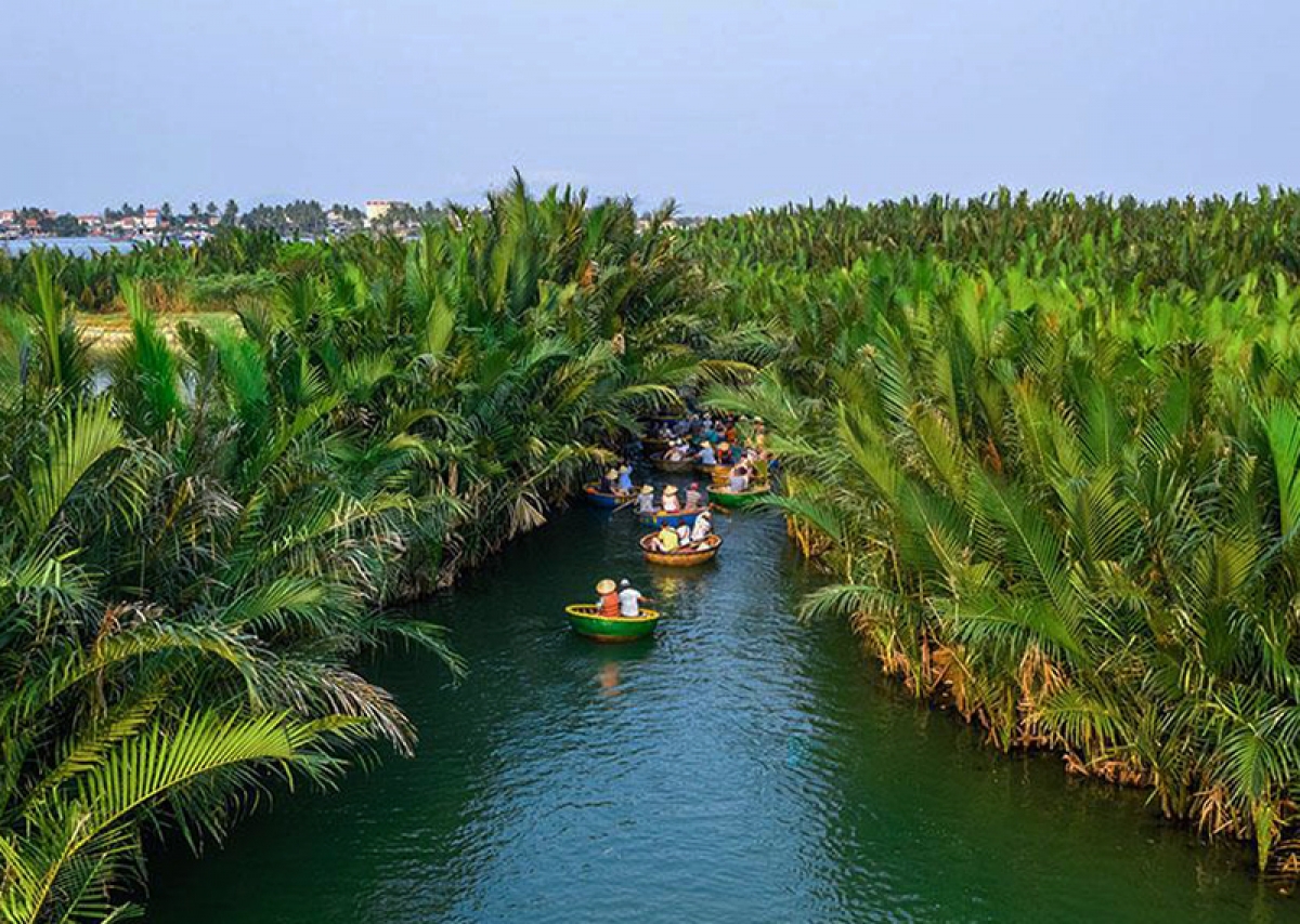 Rừng dừa Bảy Mẫu, Hội An, Quảng Nam