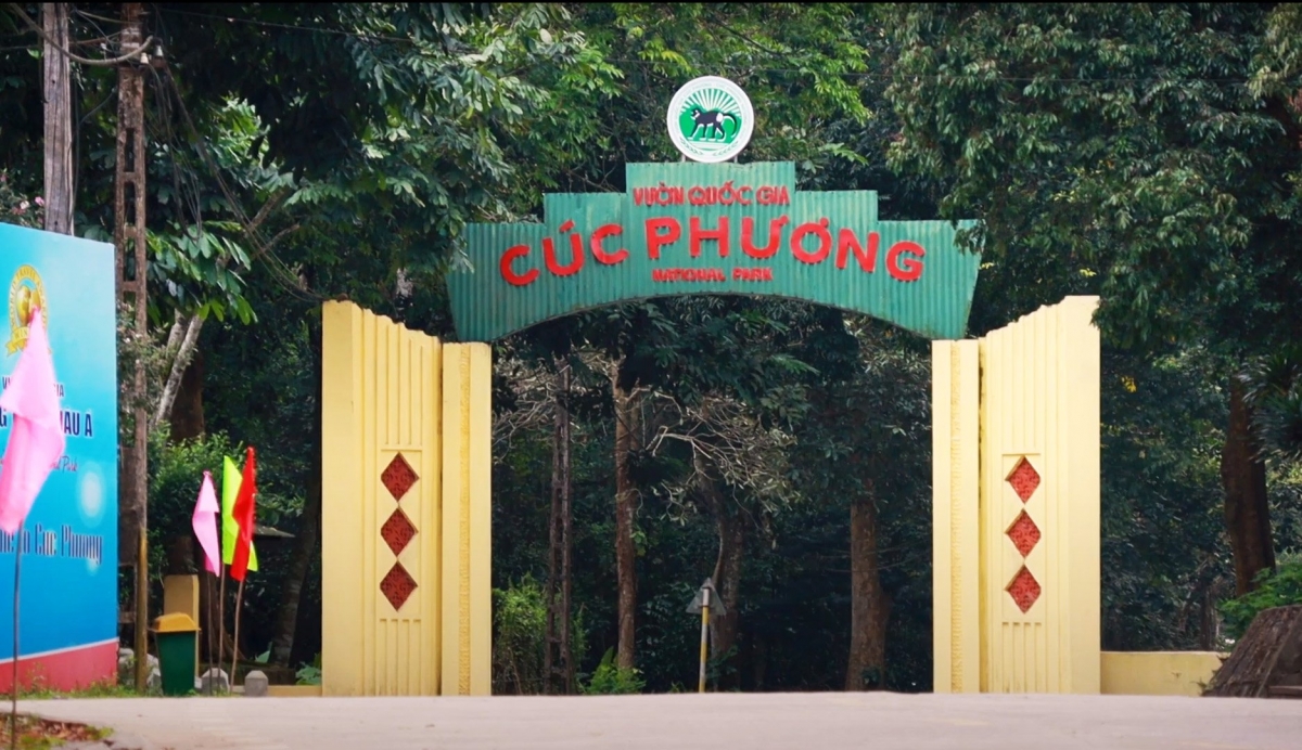Cúc Phương là Vườn quốc gia đầu tiên của Việt Nam được thành lập năm 1962. Cách Hà Nội khoảng 120 km và thuộc địa phận 3 tỉnh Ninh Bình, Hòa Bình và Thanh Hóa, Vườn quốc gia có diện tích trên 22.000 ha (trong đó 1/2 diện tích là núi đá vôi).