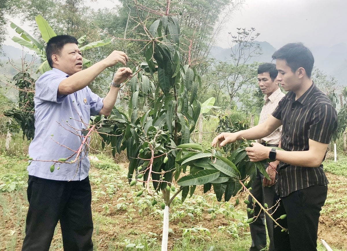 CCB Hòa Bình chung tay làm kinh tế