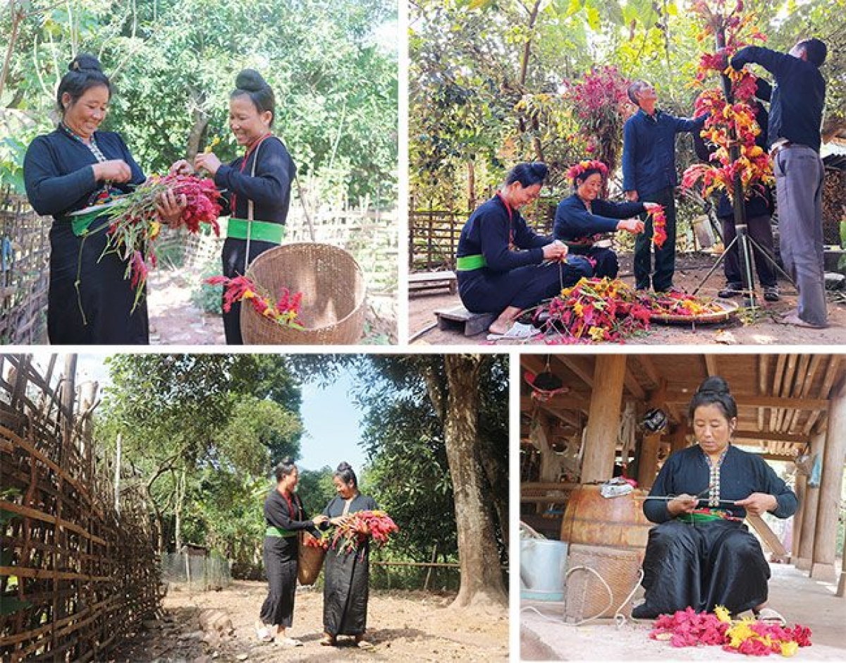 Vào độ tháng 10 âm lịch, đồng bào Cống lại rộn ràng chuẩn bị lễ Tết hoa mào gà. Ảnh: Báo Điện Biên