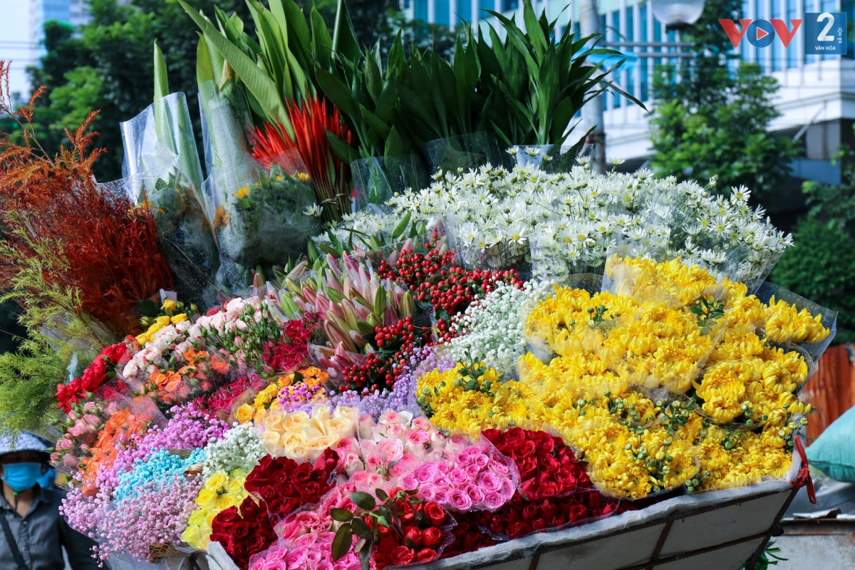 Cúc họa mi cánh nhỏ trong trẻo, khoe sắc cùng lưu ly, thạch thảo... khiến những con phố của Hà Nội sinh động hơn trong nắng.