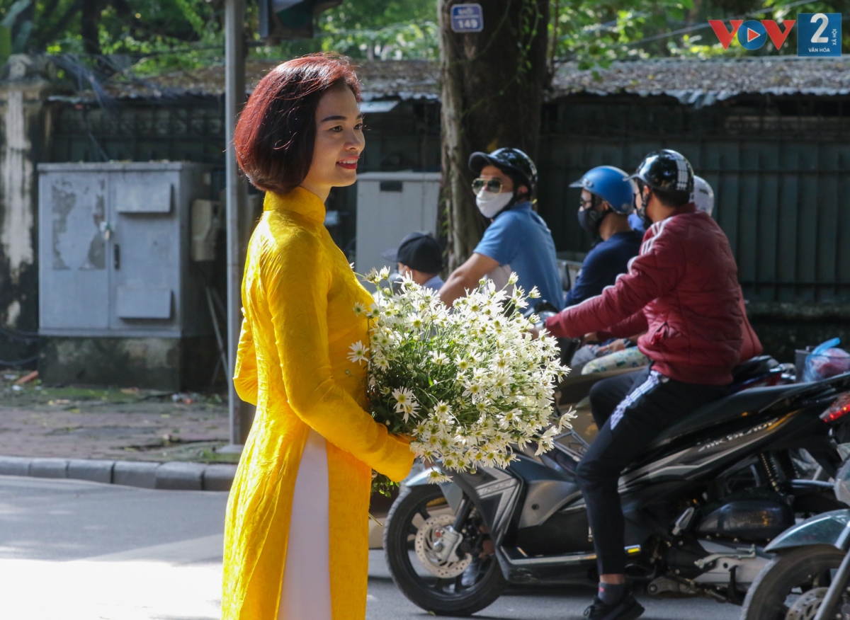 Duyên dáng bên cúc họa mi